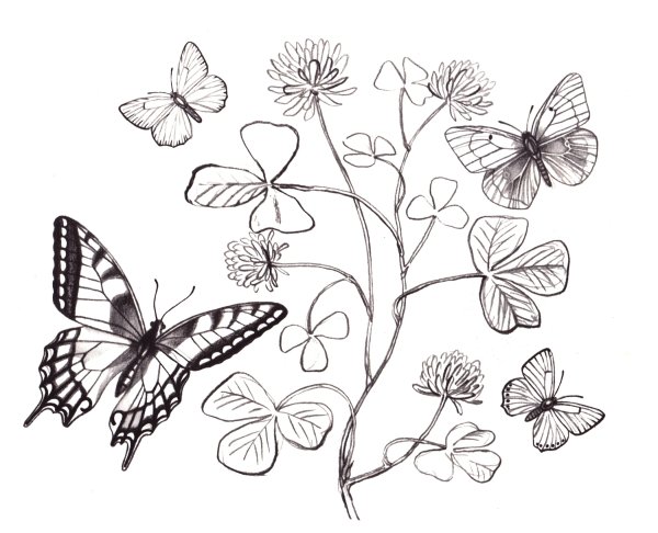 Бабочка и цветы Раскраски (техника батик) по номерам Батик-Арт BK-025/026