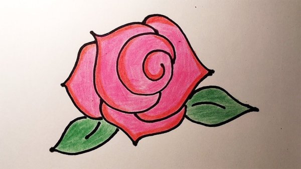 Рисунок розы для срисовки легкие