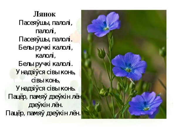 Стихотворение про лён