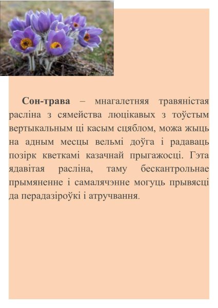 Викторианский язык цветов