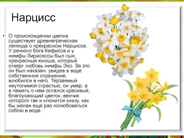 Легенды о цветах маргаритки