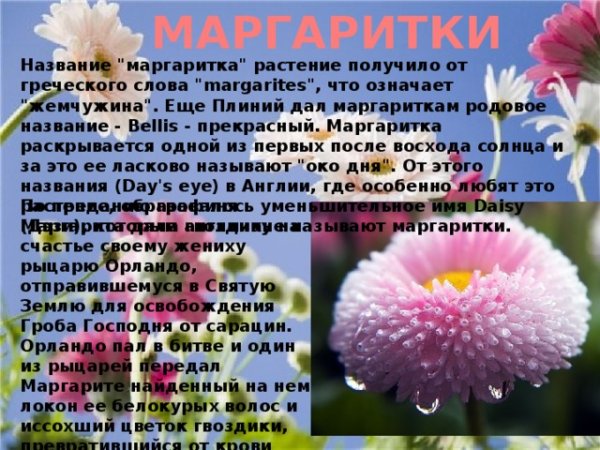 Стихи про май