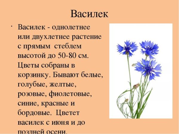 Национальный белорусский орнамент символы