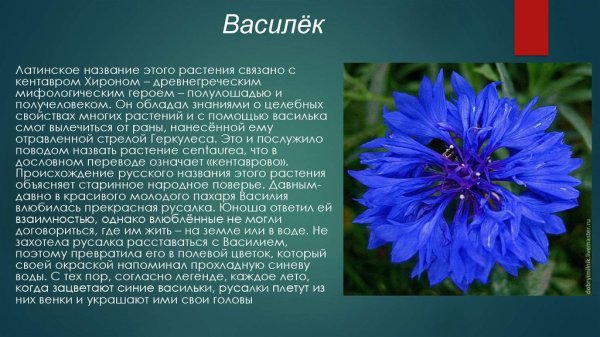 Проект по английскому Беларусь