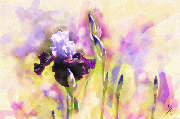 Trevor Waugh Watercolour