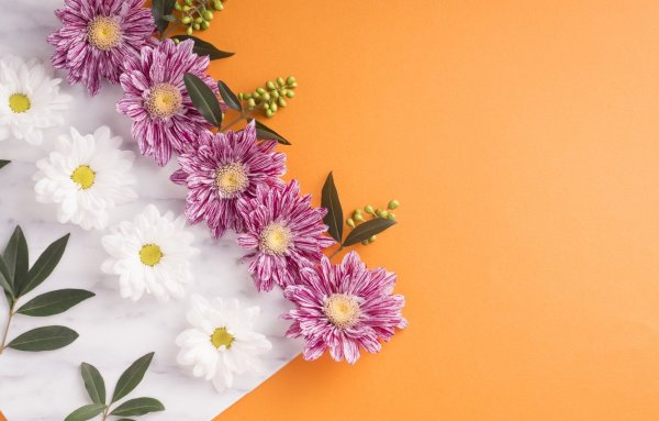 Фон с цветами для открытки