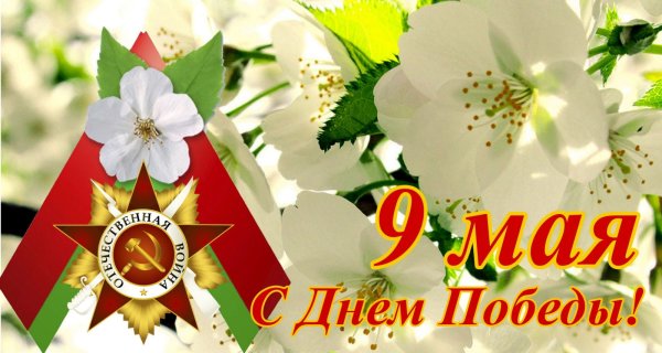 9 Мая Яблоневый цвет