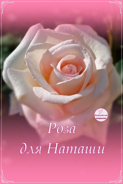Стихи про Наталью