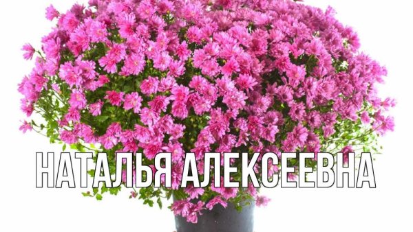 Цветы для Натальи