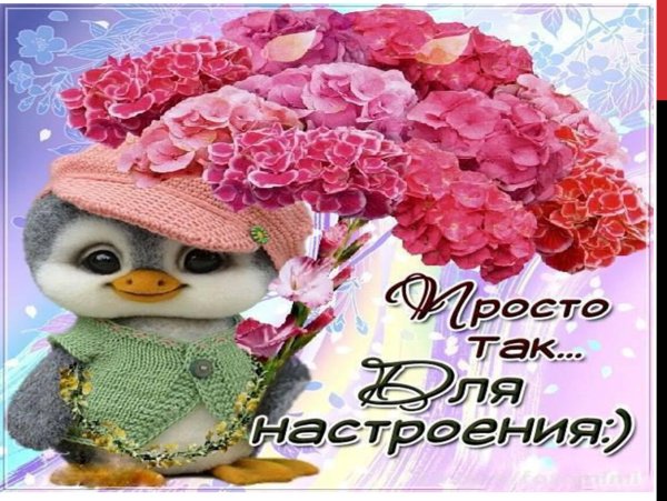 Букет цветов красивый просто так