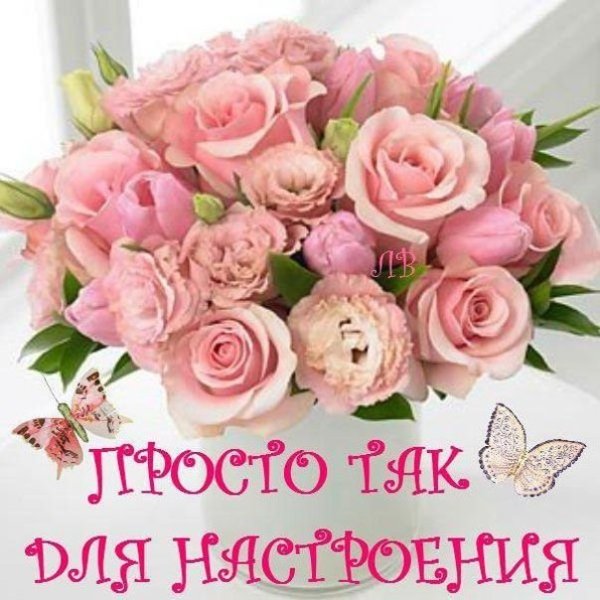 Цветы просто так для настроения