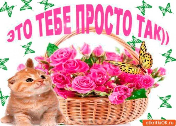 Хорошего настроения цветы