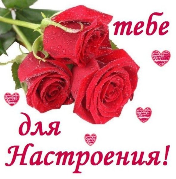 Хорошего настроения цветы