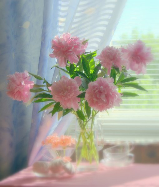 Открытки с нежными цветами