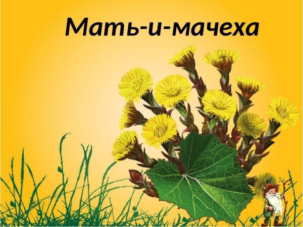 Берестов мать и мачеха