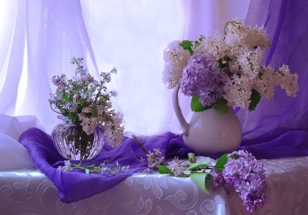 Корзинка пожеланий