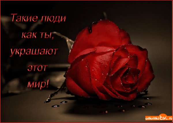 Шикарные розы для тебя