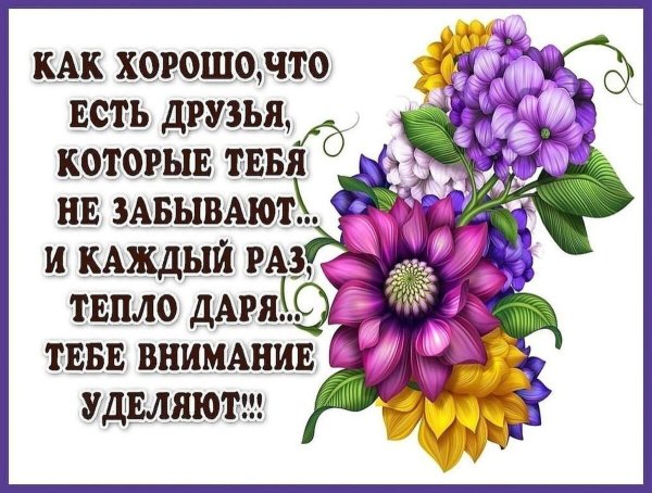Красивые розы с надписью