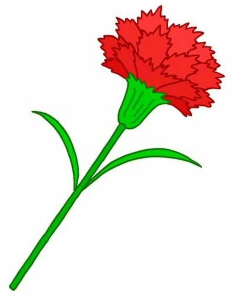 Гвоздики рисунок