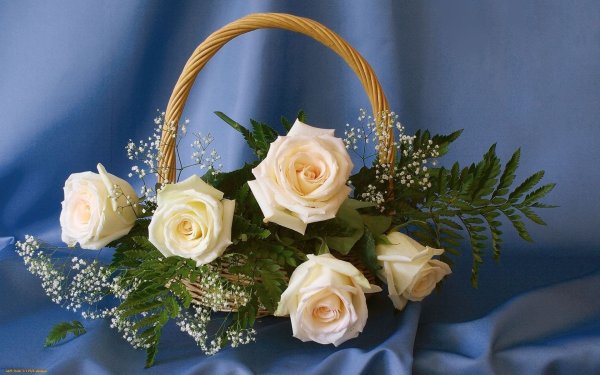 Открытки класс