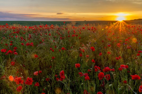 Украина природа