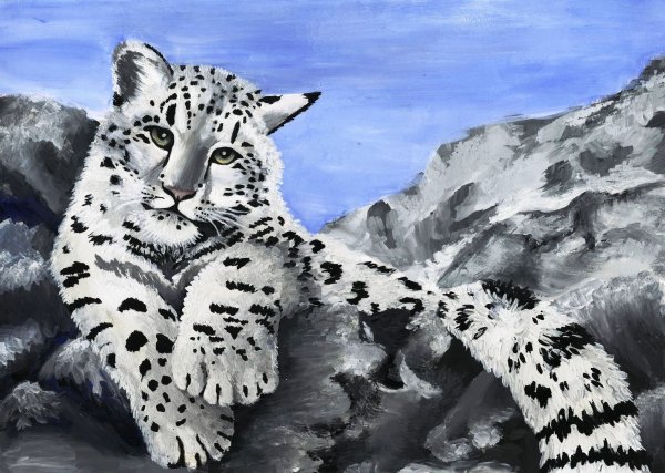 - Снежный Барс (Panthera uncia