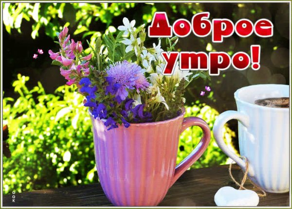 Открытка полевых цветов с добрым утром