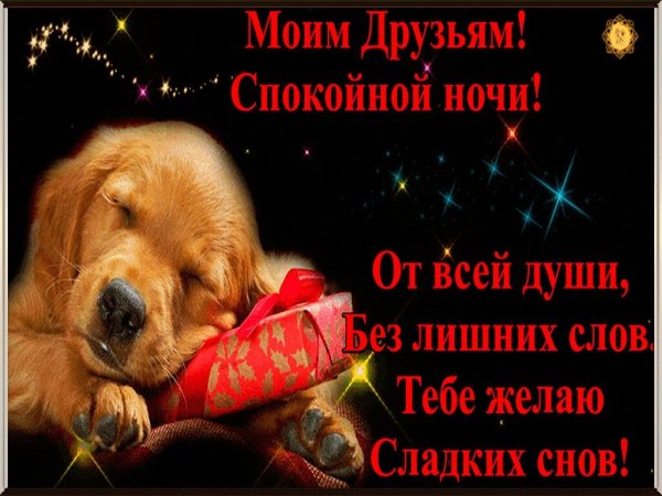 Доброй ночи красивые
