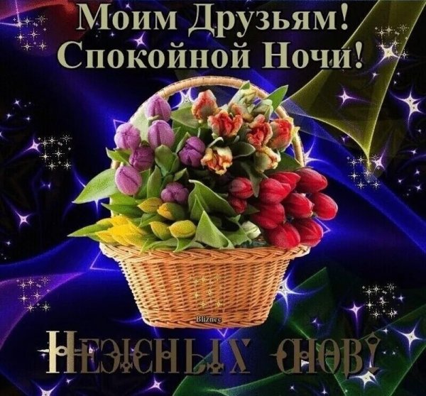 Музыкальное пожелание доброй ночи женщине