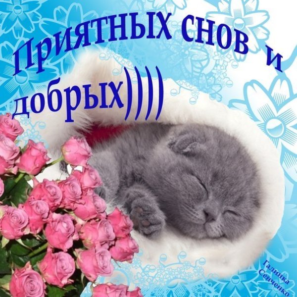 Спокойной ночи девушке цветы