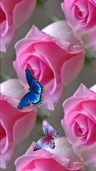 Весенние цветы вертикально