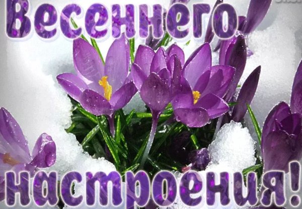 Открытки с добрым утром весенние