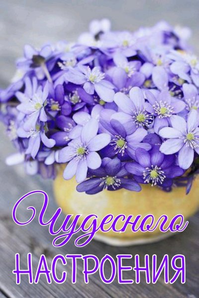 Чудесного утра и прекрасного настроения