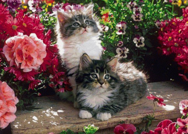 Котенок с цветами