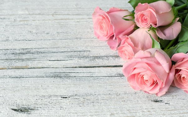 Фон для поздравления