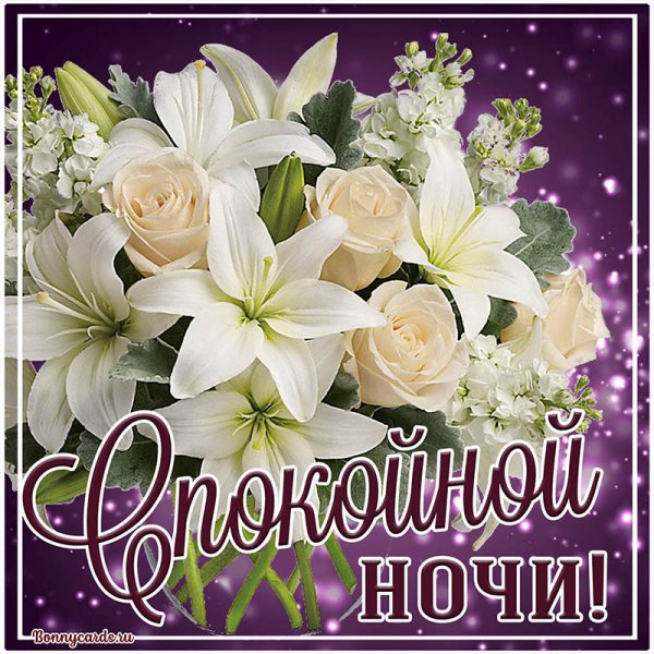Открытки спокойной ночи с цветами