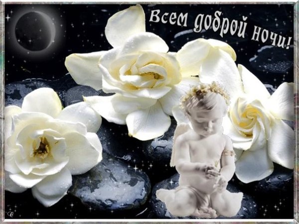 Спокойной ночи лошадка