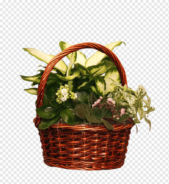 Корзинка с травами