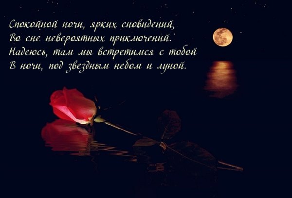 Пожелания спокойной ночи девушке с цветами