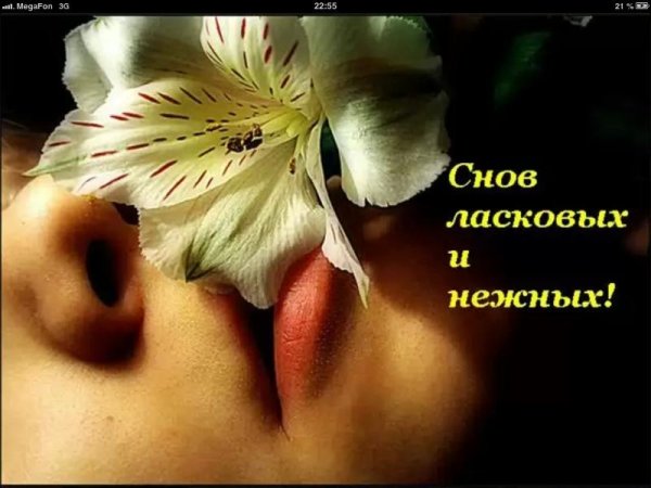 Нежный сон