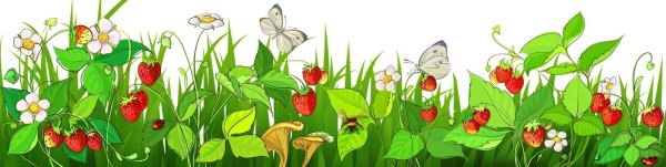 Сказочная Полянка с ягодами