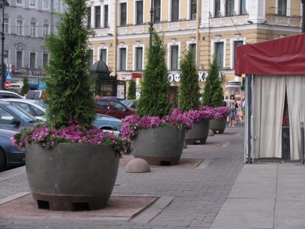 Уличные вазоны с цветами