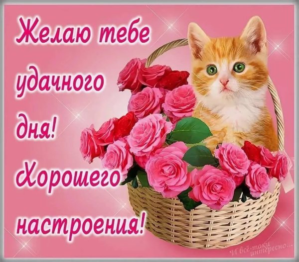 Красивые анимационные открытки