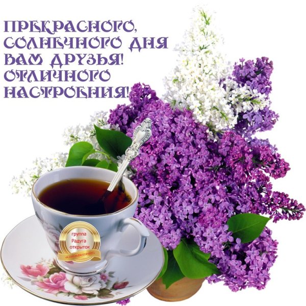 С добрым утром незабудки