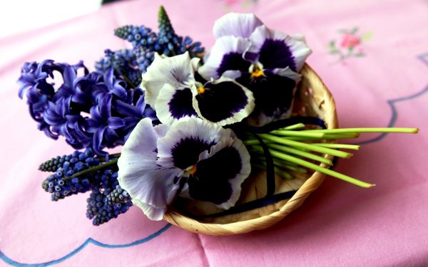 Анютины глазки