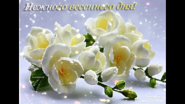 Крокусы в вазе
