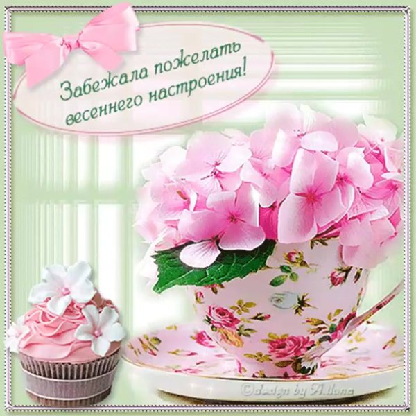 С добрым утром незабудки