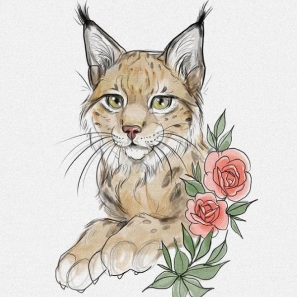 Кот, бабочки и цветы в живописи