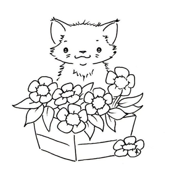 Открытки с котятами