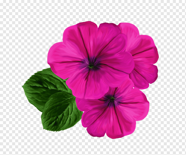 Фиолетовые цветочки